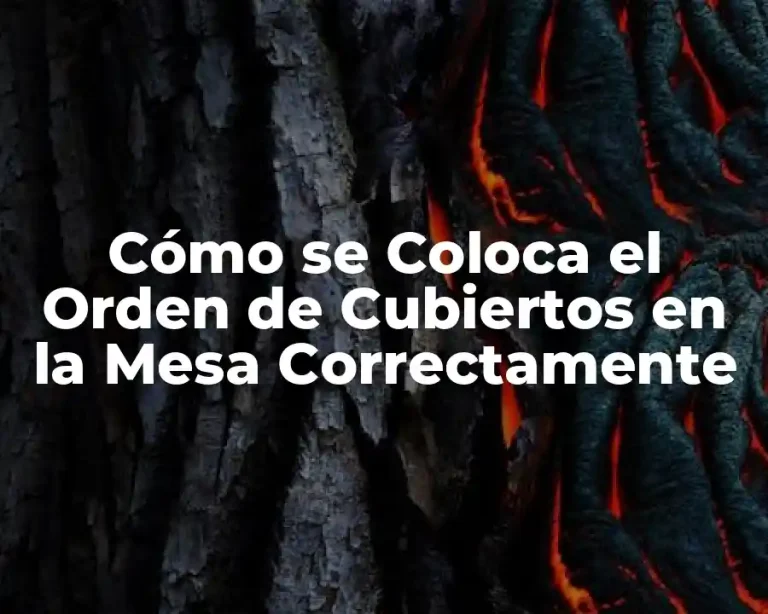 Cómo se Coloca el Orden de Cubiertos en la Mesa Correctamente