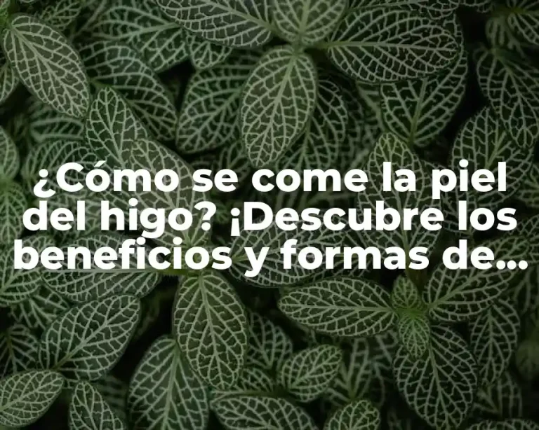 ¿Cómo se come la piel del higo? ¡Descubre los beneficios y formas de consumirla!