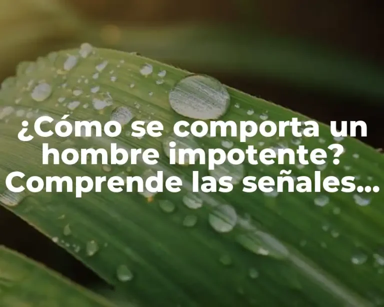 ¿Cómo se comporta un hombre impotente? Comprende las señales y síntomas