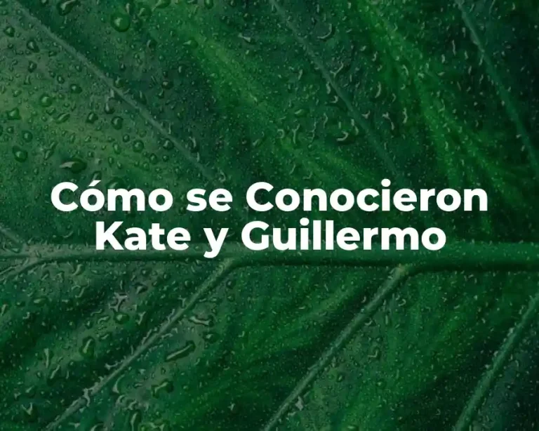 Cómo se Conocieron Kate y Guillermo