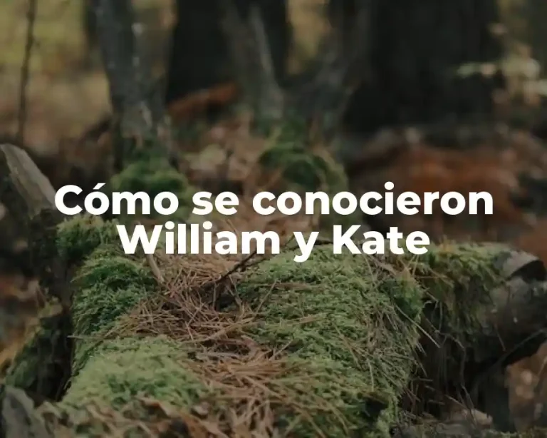 Cómo se conocieron William y Kate