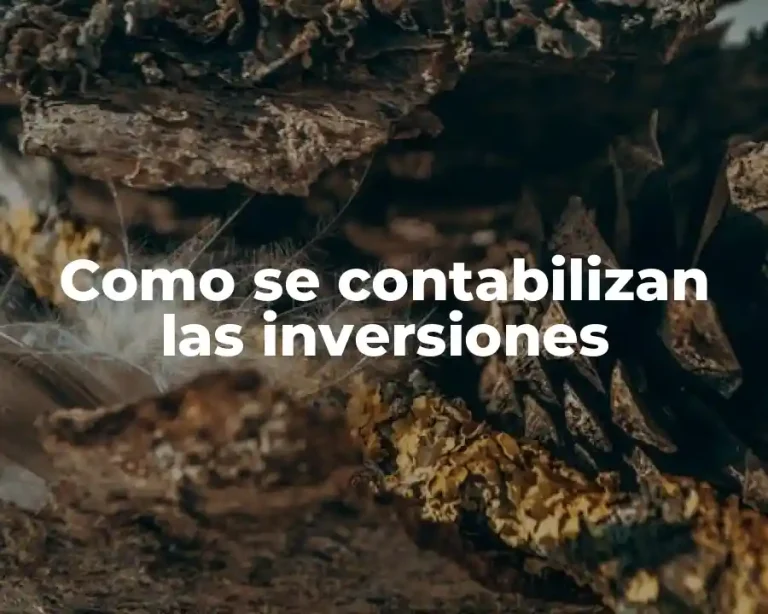 Como se contabilizan las inversiones