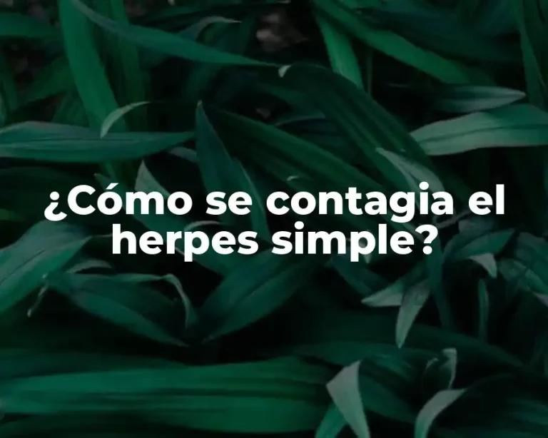 ¿Cómo se contagia el herpes simple?