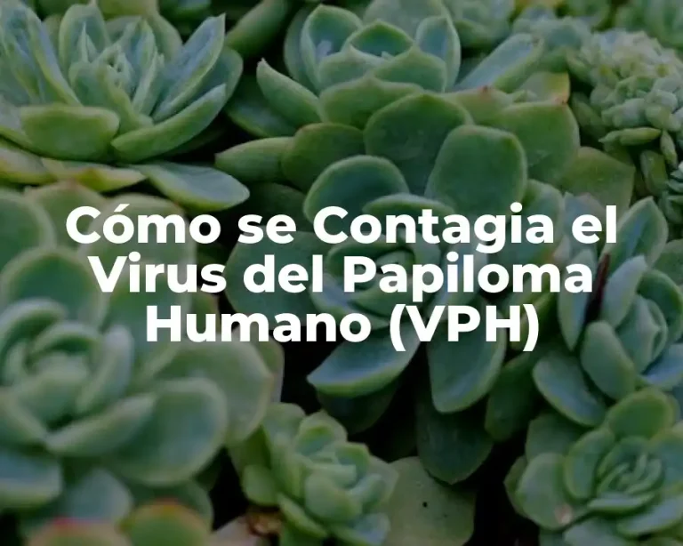 Cómo se Contagia el Virus del Papiloma Humano (VPH)