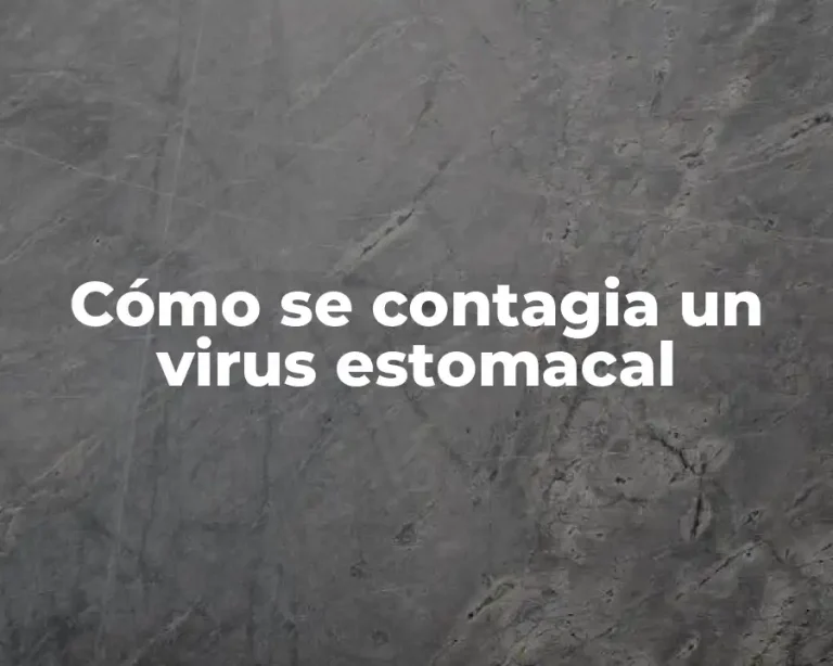 Cómo se contagia un virus estomacal