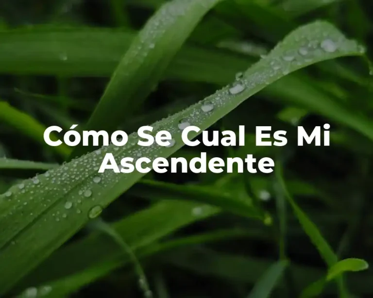 Cómo Se Cual Es Mi Ascendente