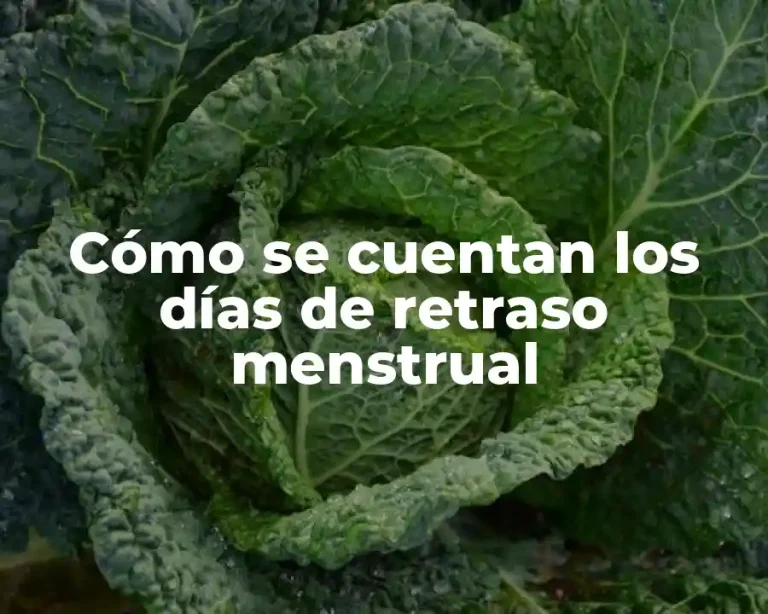 Cómo se cuentan los días de retraso menstrual