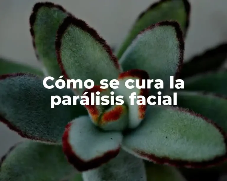 Cómo se cura la parálisis facial