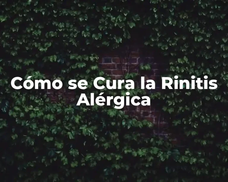 Cómo se Cura la Rinitis Alérgica