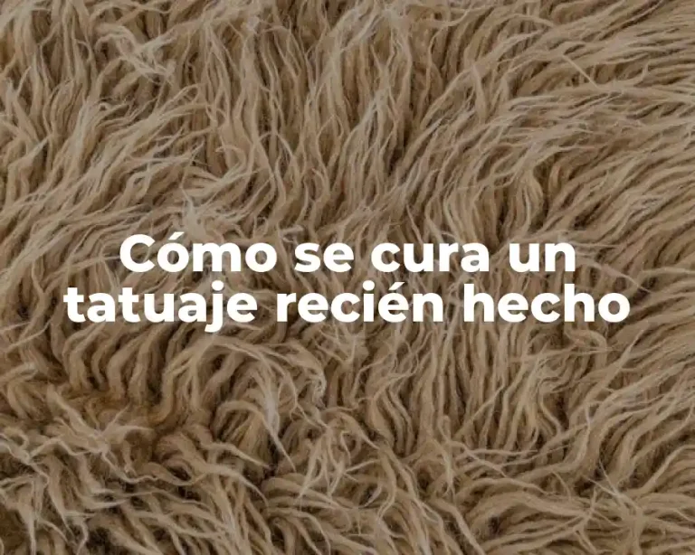 Cómo se cura un tatuaje recién hecho