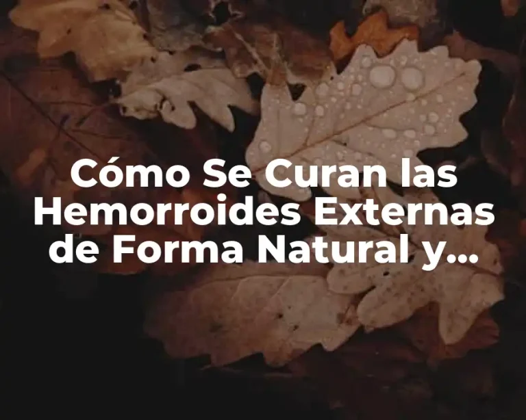 Cómo Se Curan las Hemorroides Externas de Forma Natural y Efectiva