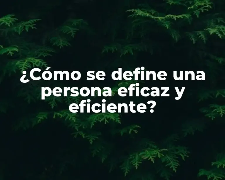 ¿Cómo se define una persona eficaz y eficiente?