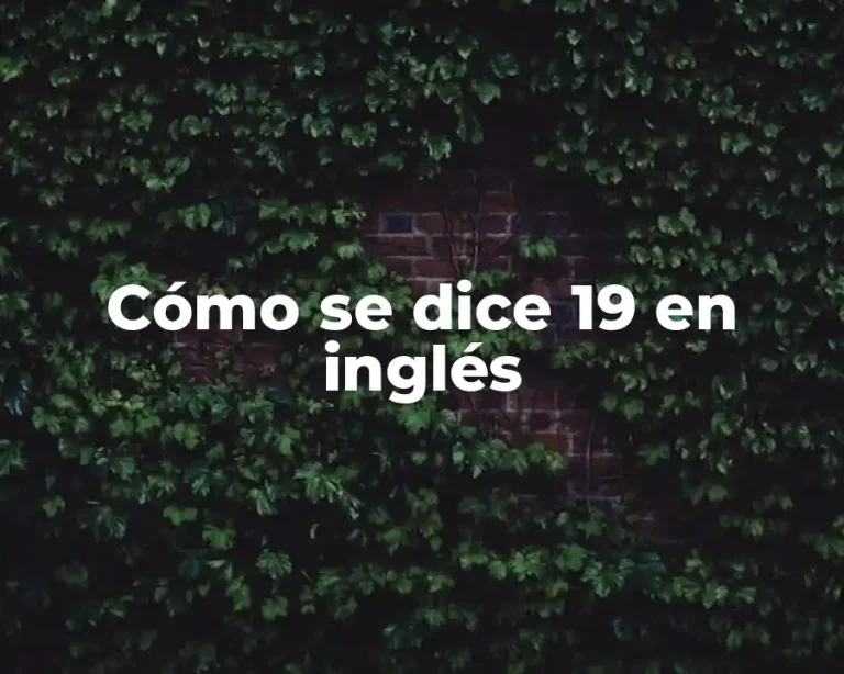 Cómo se dice 19 en inglés