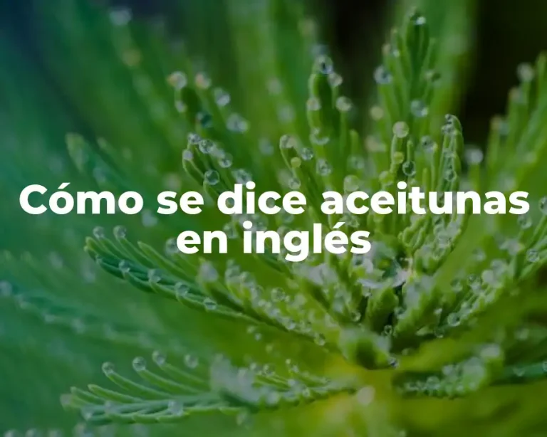 Cómo se dice aceitunas en inglés