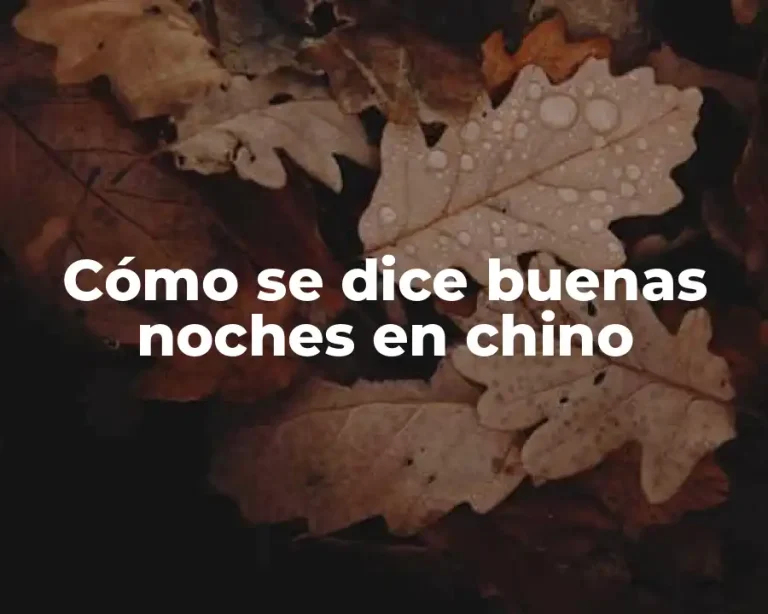 Cómo se dice buenas noches en chino