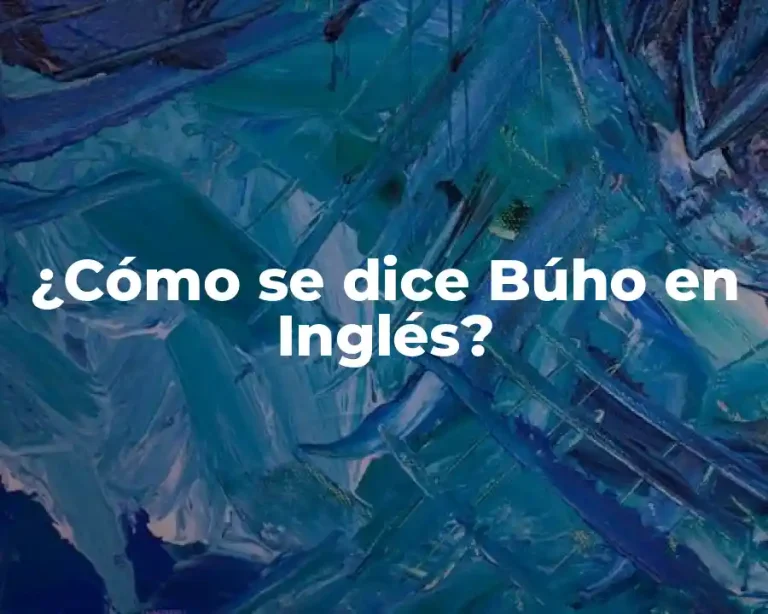 ¿Cómo se dice Búho en Inglés?