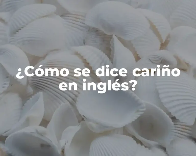 ¿Cómo se dice cariño en inglés?