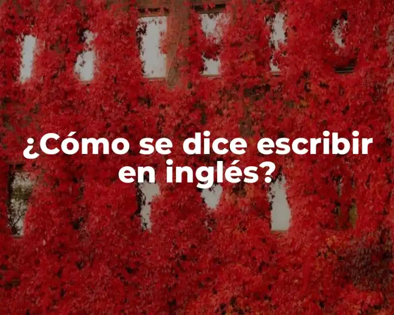 ¿Cómo se dice escribir en inglés?