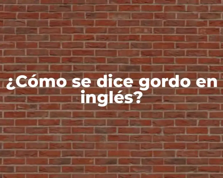 ¿Cómo se dice gordo en inglés?
