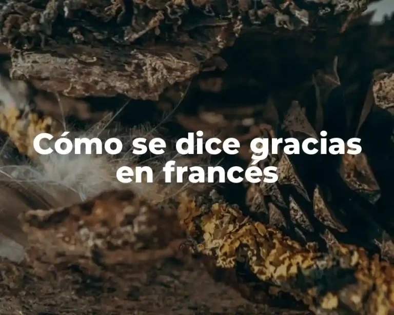 Cómo se dice gracias en francés