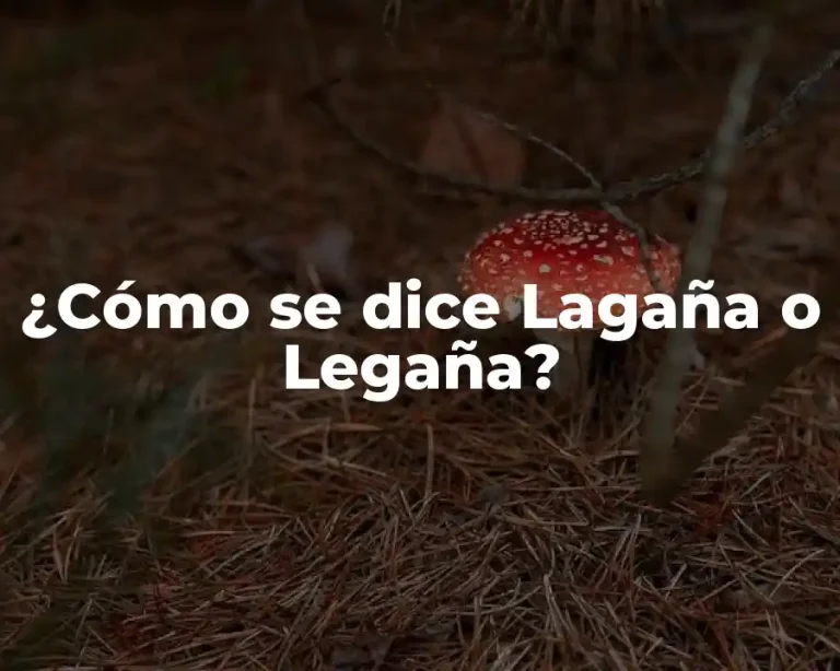 ¿Cómo se dice Lagaña o Legaña?