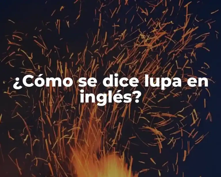 ¿Cómo se dice lupa en inglés?
