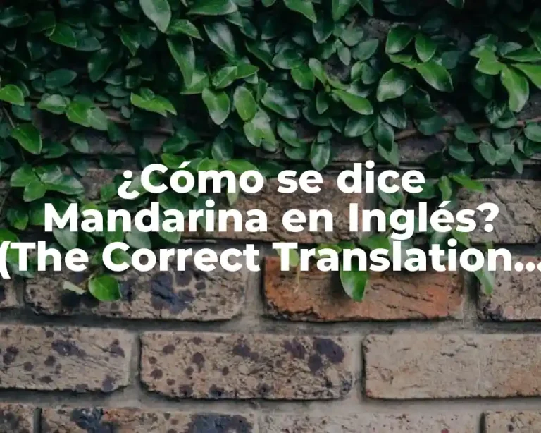 ¿Cómo se dice Mandarina en Inglés? (The Correct Translation of Mandarin in English)