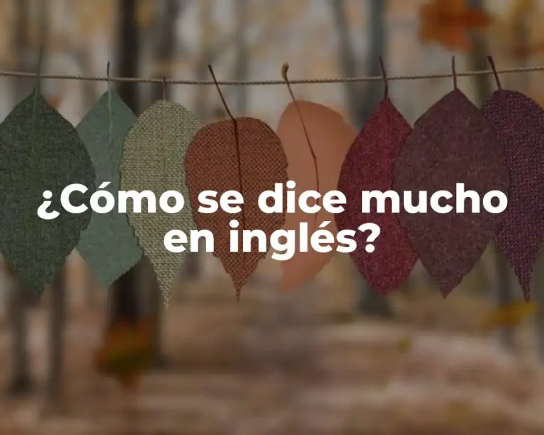 ¿Cómo se dice mucho en inglés?