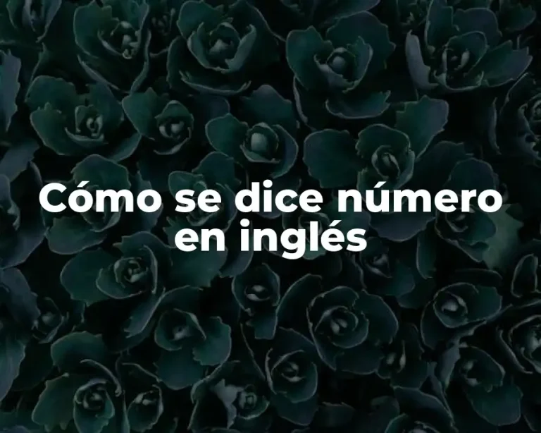 Cómo se dice número en inglés