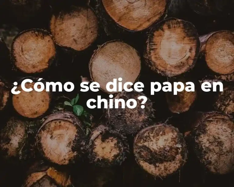 ¿Cómo se dice papa en chino?