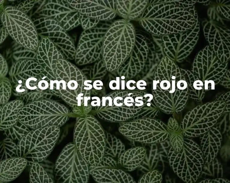 ¿Cómo se dice rojo en francés?