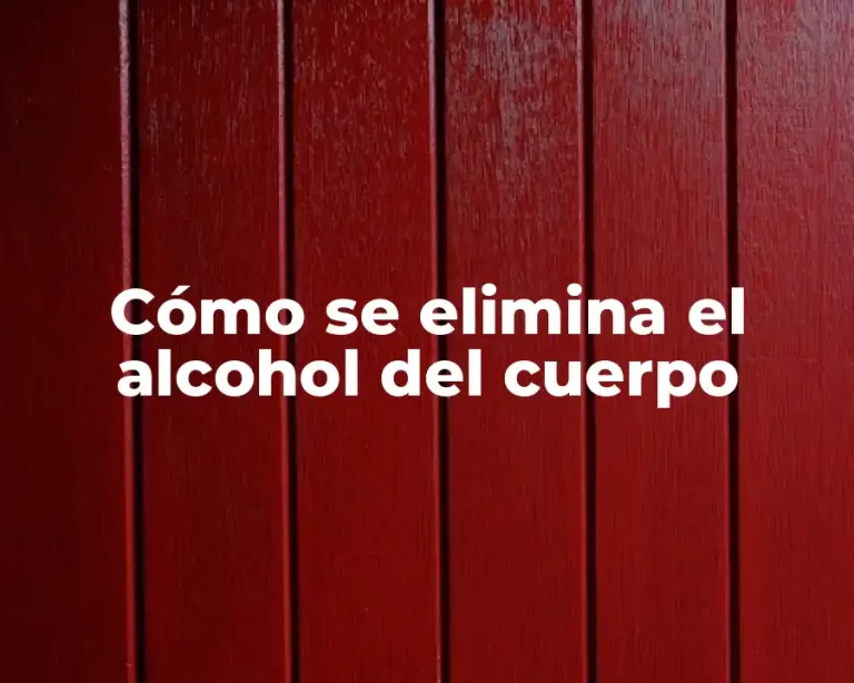 Cómo se elimina el alcohol del cuerpo