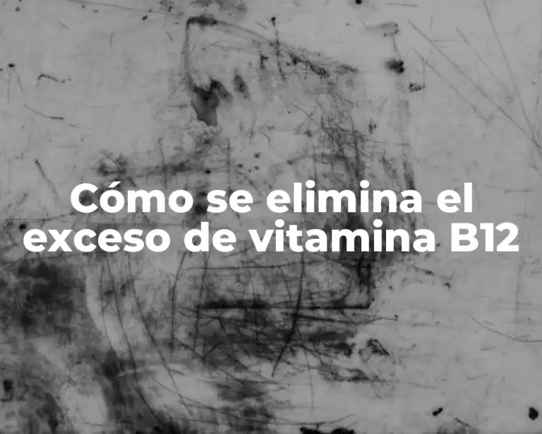 Cómo se elimina el exceso de vitamina B12