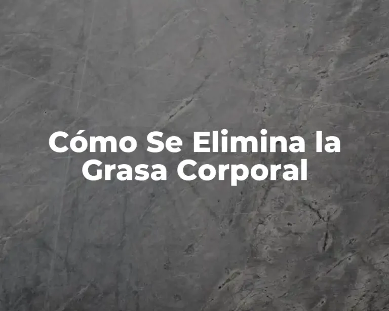 Cómo Se Elimina la Grasa Corporal