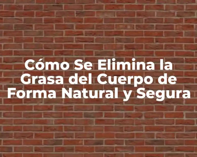 Cómo Se Elimina la Grasa del Cuerpo de Forma Natural y Segura