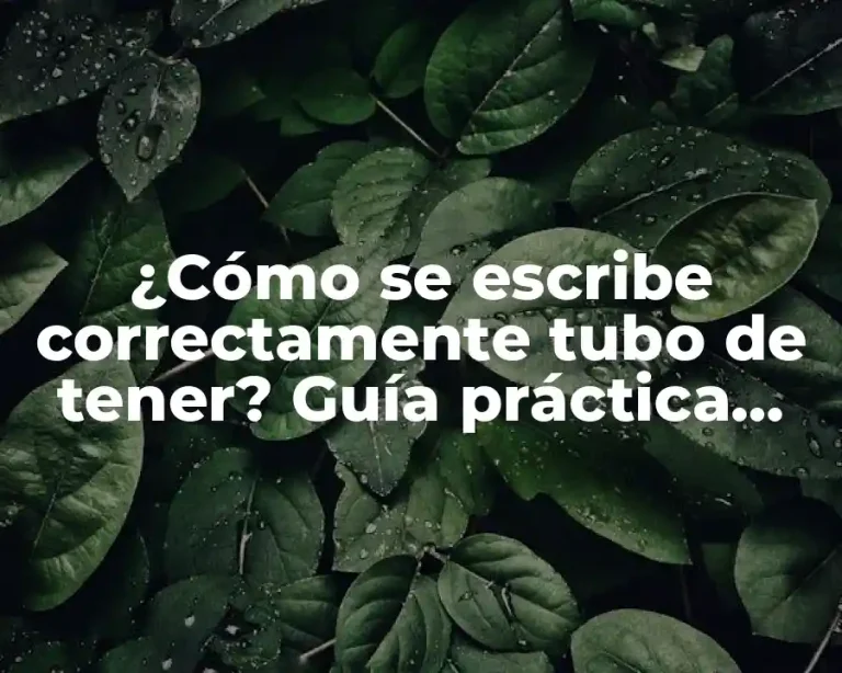 ¿Cómo se escribe correctamente tubo de tener? Guía práctica para resolver la duda