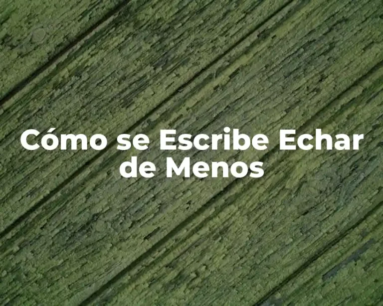 Cómo se Escribe Echar de Menos