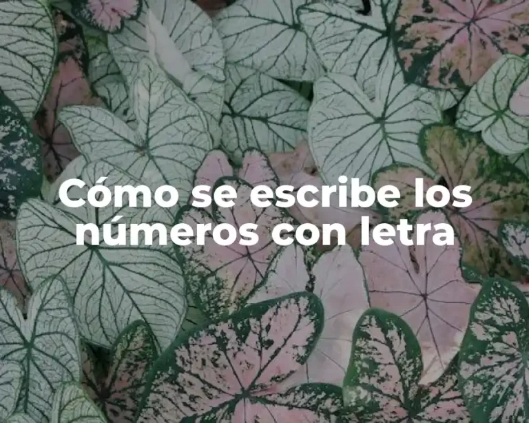 Cómo se escribe los números con letra
