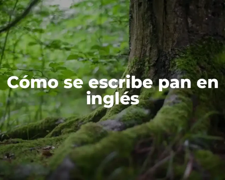 Cómo se escribe pan en inglés