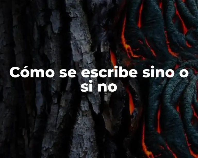 Cómo se escribe sino o si no