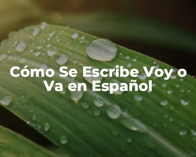 Cómo Se Escribe Voy o Va en Español
