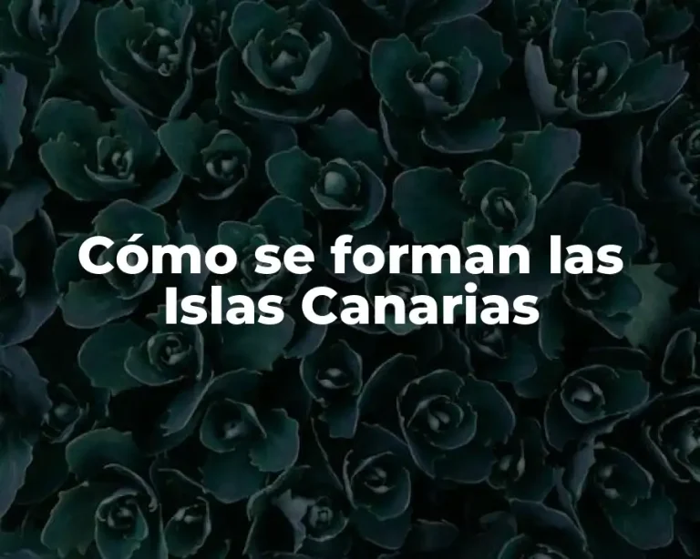 Cómo se forman las Islas Canarias