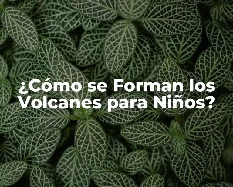 ¿Cómo se Forman los Volcanes para Niños?