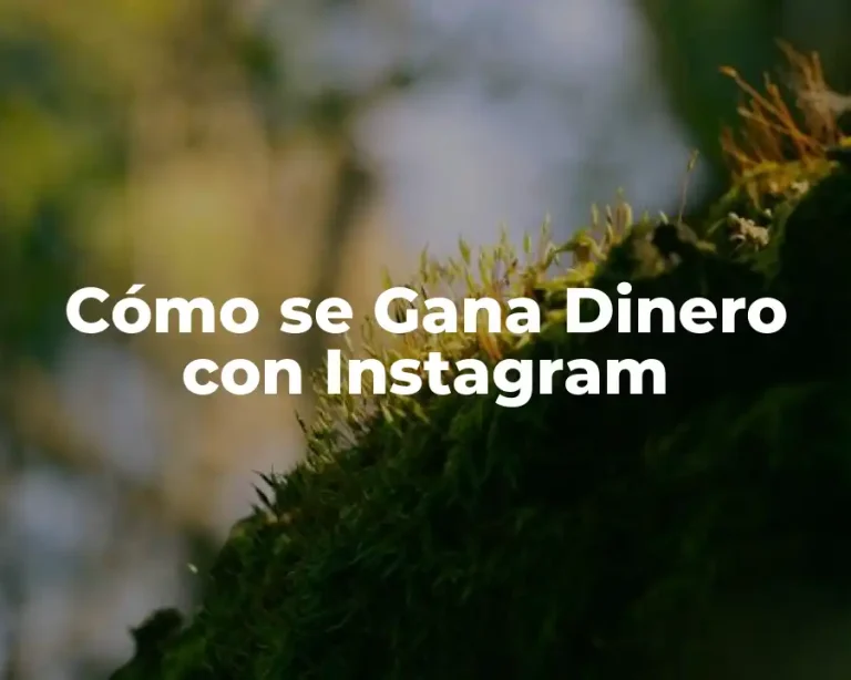 Cómo se Gana Dinero con Instagram
