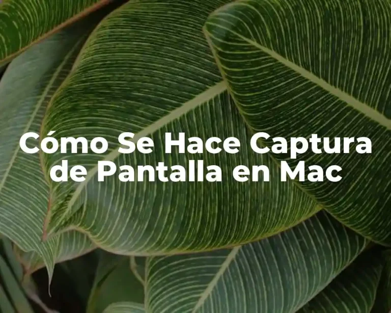 Cómo Se Hace Captura de Pantalla en Mac