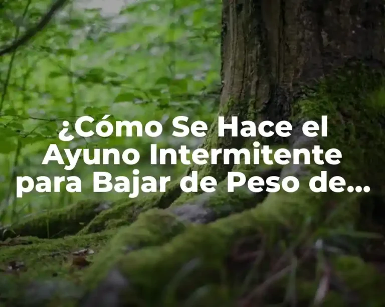 ¿Cómo Se Hace el Ayuno Intermitente para Bajar de Peso de Forma Segura y Efectiva?