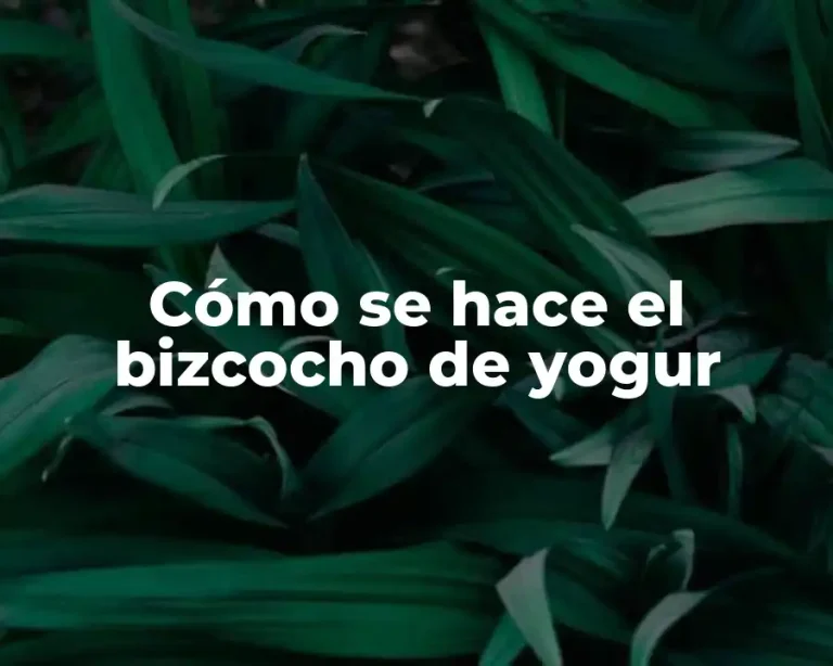 Cómo se hace el bizcocho de yogur