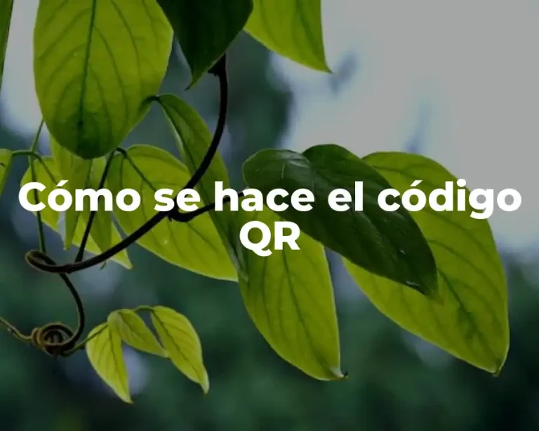 Cómo se hace el código QR