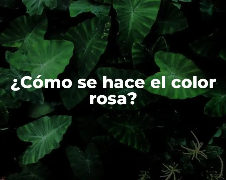 ¿Cómo se hace el color rosa?