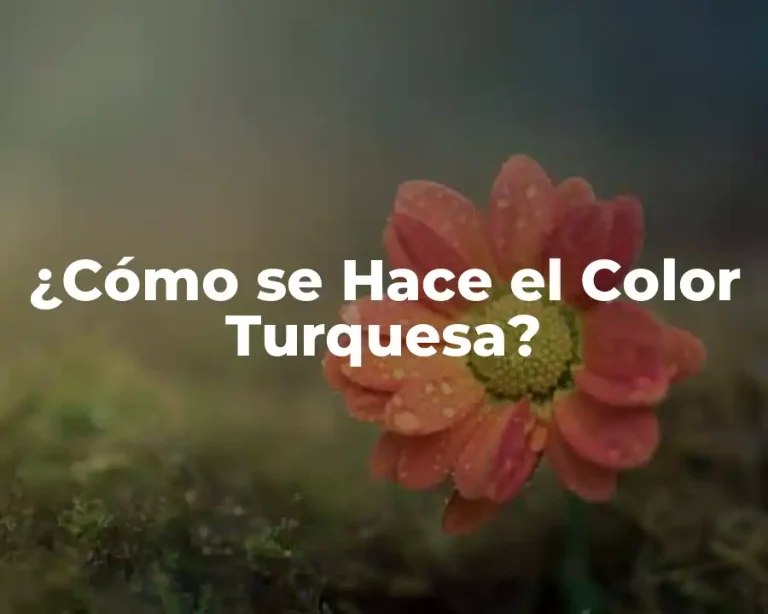 ¿Cómo se Hace el Color Turquesa?